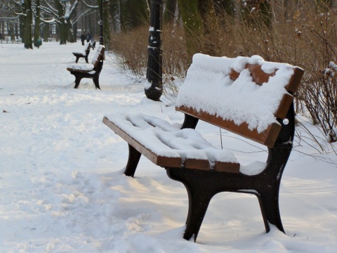 Kliknij na zdjęcie, żeby zobaczyć w pełnych wymiarach