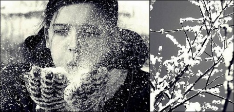 Kliknij na zdjęcie, żeby zobaczyć w pełnych wymiarach