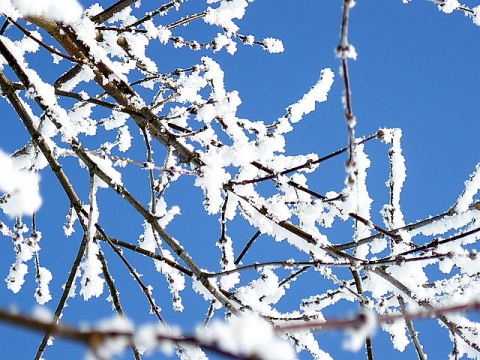 Kliknij na zdjęcie, żeby zobaczyć w pełnych wymiarach