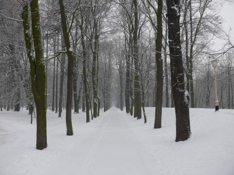 Kliknij na zdjęcie, żeby zobaczyć w pełnych wymiarach