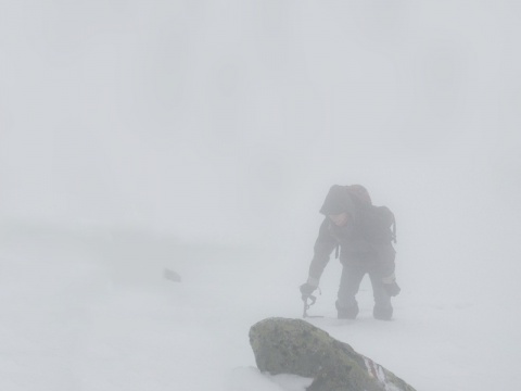 Kliknij na zdjęcie, żeby zobaczyć w pełnych wymiarach