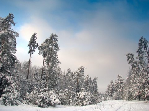 Kliknij na zdjęcie, żeby zobaczyć w pełnych wymiarach