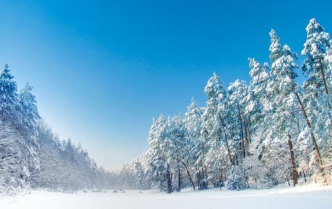 Kliknij na zdjęcie, żeby zobaczyć w pełnych wymiarach