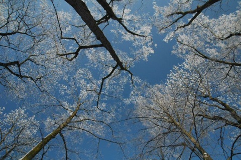 Kliknij na zdjęcie, żeby zobaczyć w pełnych wymiarach