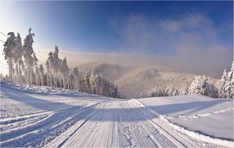 Kliknij na zdjęcie, żeby zobaczyć w pełnych wymiarach