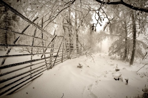 Kliknij na zdjęcie, żeby zobaczyć w pełnych wymiarach