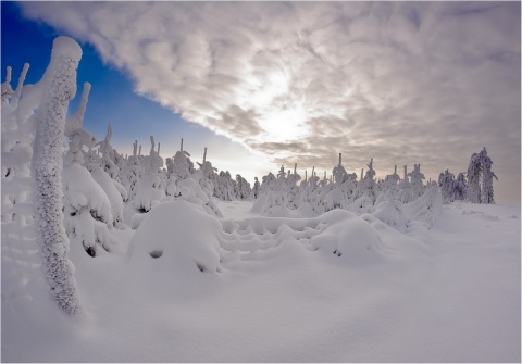 Kliknij na zdjęcie, żeby zobaczyć w pełnych wymiarach