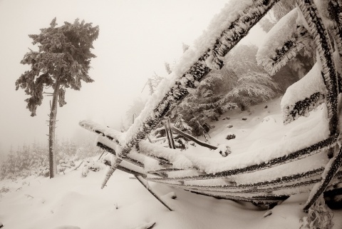 Kliknij na zdjęcie, żeby zobaczyć w pełnych wymiarach