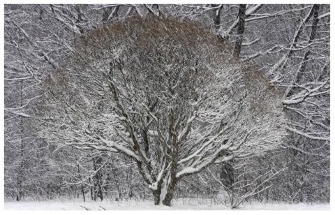 Kliknij na zdjęcie, żeby zobaczyć w pełnych wymiarach