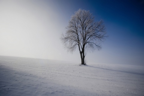 Kliknij na zdjęcie, żeby zobaczyć w pełnych wymiarach