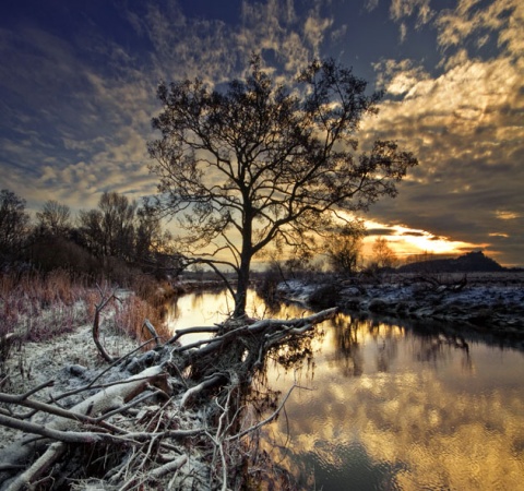 Kliknij na zdjęcie, żeby zobaczyć w pełnych wymiarach
