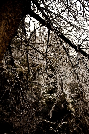 Kliknij na zdjęcie, żeby zobaczyć w pełnych wymiarach