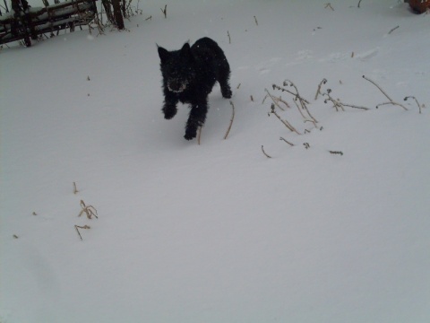 Kliknij na zdjęcie, żeby zobaczyć w pełnych wymiarach