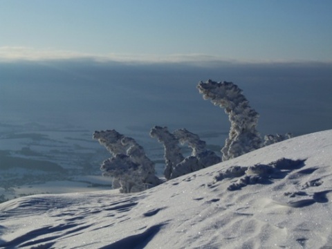 Kliknij na zdjęcie, żeby zobaczyć w pełnych wymiarach