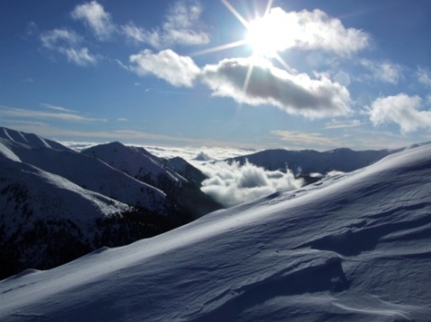 Kliknij na zdjęcie, żeby zobaczyć w pełnych wymiarach