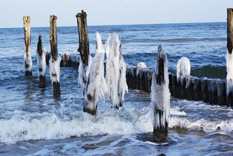 Kliknij na zdjęcie, żeby zobaczyć w pełnych wymiarach