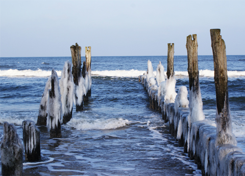 Kliknij na zdjęcie, żeby zobaczyć w pełnych wymiarach