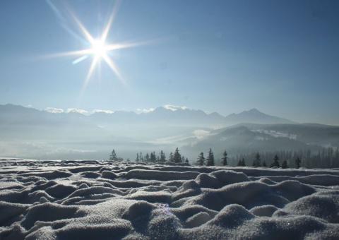 Kliknij na zdjęcie, żeby zobaczyć w pełnych wymiarach