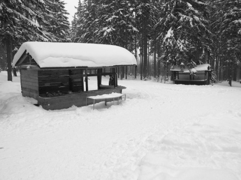 Kliknij na zdjęcie, żeby zobaczyć w pełnych wymiarach