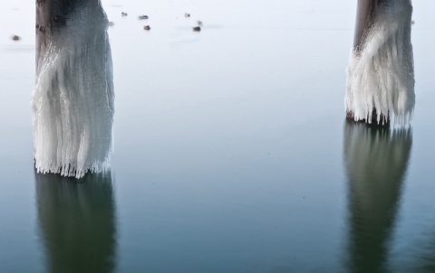 Kliknij na zdjęcie, żeby zobaczyć w pełnych wymiarach