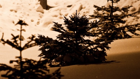 Kliknij na zdjęcie, żeby zobaczyć w pełnych wymiarach