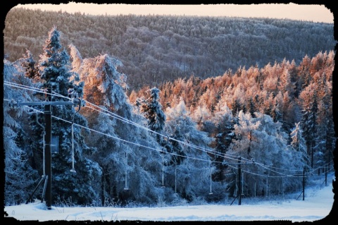 Kliknij na zdjęcie, żeby zobaczyć w pełnych wymiarach
