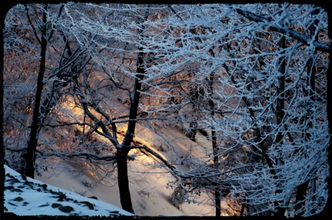 Kliknij na zdjęcie, żeby zobaczyć w pełnych wymiarach