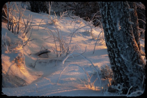 Kliknij na zdjęcie, żeby zobaczyć w pełnych wymiarach