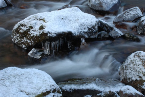 Kliknij na zdjęcie, żeby zobaczyć w pełnych wymiarach
