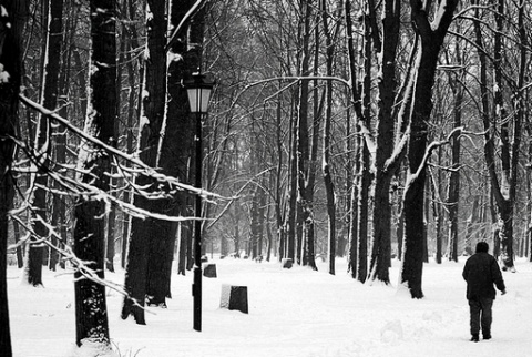 Kliknij na zdjęcie, żeby zobaczyć w pełnych wymiarach