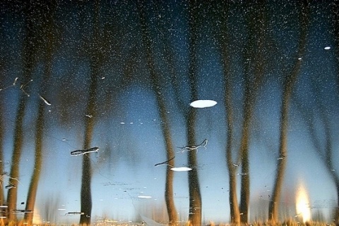 Kliknij na zdjęcie, żeby zobaczyć w pełnych wymiarach