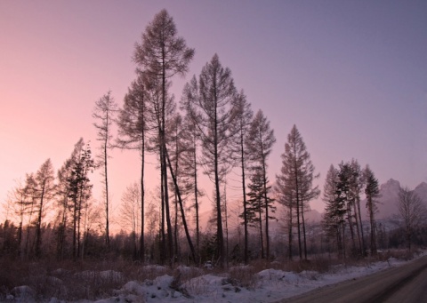 Kliknij na zdjęcie, żeby zobaczyć w pełnych wymiarach