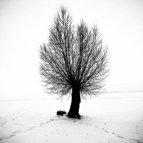 Kliknij na zdjęcie, żeby zobaczyć w pełnych wymiarach