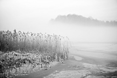 Kliknij na zdjęcie, żeby zobaczyć w pełnych wymiarach