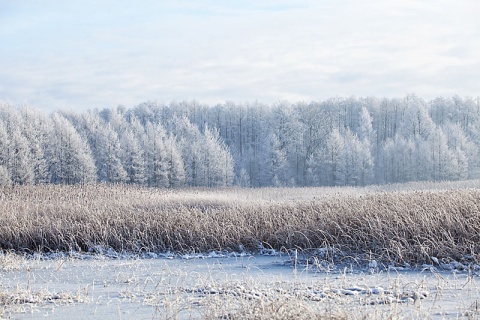 Kliknij na zdjęcie, żeby zobaczyć w pełnych wymiarach