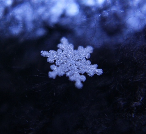 Kliknij na zdjęcie, żeby zobaczyć w pełnych wymiarach