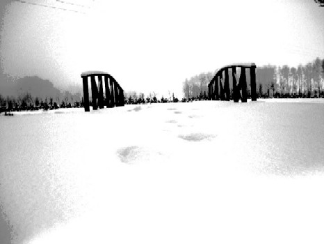 Kliknij na zdjęcie, żeby zobaczyć w pełnych wymiarach