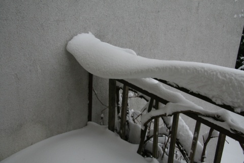 Kliknij na zdjęcie, żeby zobaczyć w pełnych wymiarach
