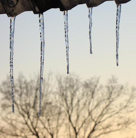 Kliknij na zdjęcie, żeby zobaczyć w pełnych wymiarach