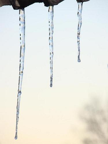 Kliknij na zdjęcie, żeby zobaczyć w pełnych wymiarach