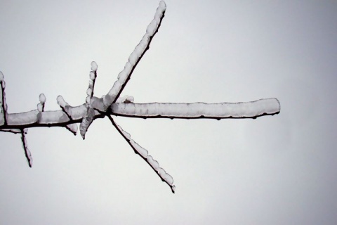 Kliknij na zdjęcie, żeby zobaczyć w pełnych wymiarach