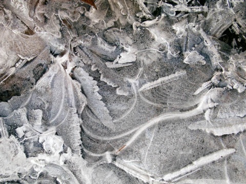 Kliknij na zdjęcie, żeby zobaczyć w pełnych wymiarach