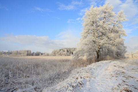 Kliknij na zdjęcie, żeby zobaczyć w pełnych wymiarach