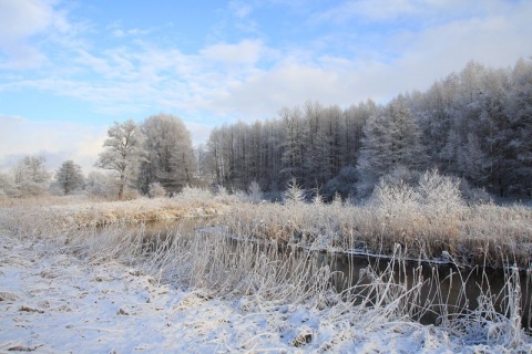 Kliknij na zdjęcie, żeby zobaczyć w pełnych wymiarach