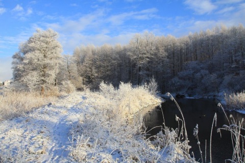 Kliknij na zdjęcie, żeby zobaczyć w pełnych wymiarach