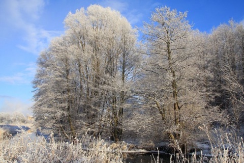 Kliknij na zdjęcie, żeby zobaczyć w pełnych wymiarach