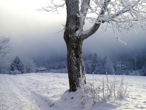 Kliknij na zdjęcie, żeby zobaczyć w pełnych wymiarach