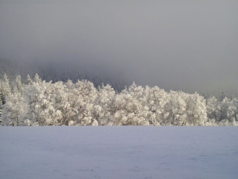 Kliknij na zdjęcie, żeby zobaczyć w pełnych wymiarach