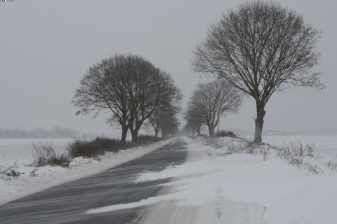 Kliknij na zdjęcie, żeby zobaczyć w pełnych wymiarach