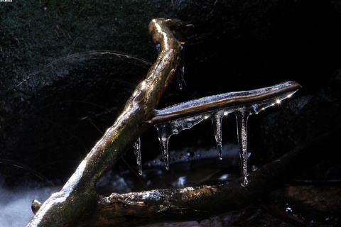 Kliknij na zdjęcie, żeby zobaczyć w pełnych wymiarach